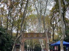 -灵谷景区