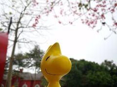 -史努比缤纷世界