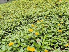 -深圳湾公园(南山区)