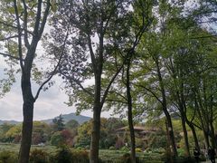 -中国茶叶博物馆(双峰馆区)