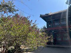 -莲池书院博物馆