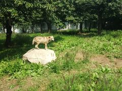 -西安秦岭野生动物园