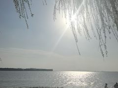 -苏州湾体育公园