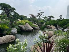 -罗红摄影艺术馆