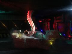 -贝壳梦幻世界