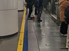 -大望路(地铁站)