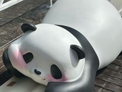 -轩客会(熊猫书店)