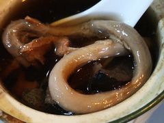 炖猪鞭-华哥新鲜猪精品美食