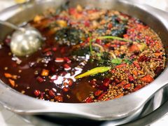 美蛙-大味美蛙鱼头(遂宁总店)