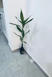 -杉惠素颜美妆皮肤管理中心