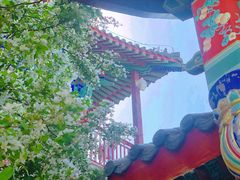 -天津妈祖文化园