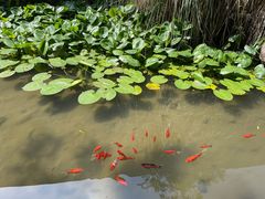 -中国湿地博物馆