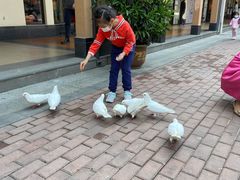 -王府井奥莱临潼小镇(临潼店)
