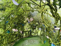 -沂蒙云瀑洞天景区