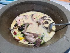 -滇色蒸汽石锅鱼(京华城店)