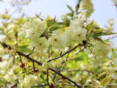 -白塘生态植物园