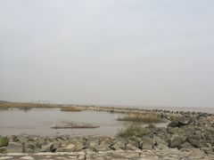 -南汇嘴观海公园