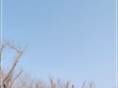 -白佛山景区