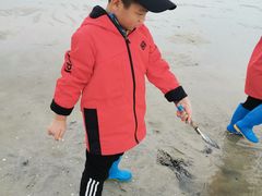 -红树林天天赶海