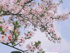 -上海山野camping·户外天幕烧烤·团建拓展营地