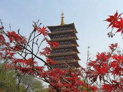 -牛首山文化旅游区