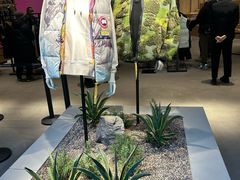 -Canada Goose加拿大鹅(北京三里屯太古里店)