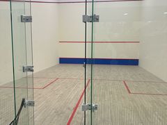 -健身专家Wellness Experts