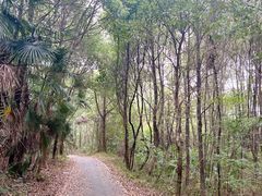-青龙山国家森林公园