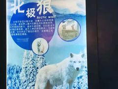 -芜湖新华联大白鲸海洋公园