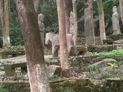-福清灵石山国家森林公园