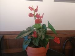 -漢舍中国菜馆(889广场店)