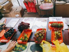 -马陆小张葡萄园农家乐