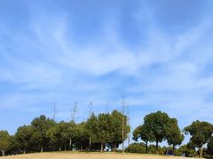 -广富林郊野公园
