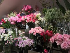 -植物学家的女儿(北马道巷店)