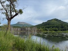 -洮儿河国家湿地公园
