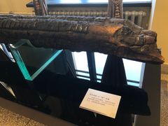 -哈尔滨工业大学-博物馆