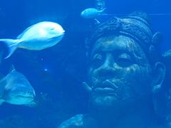 -暹罗海洋世界