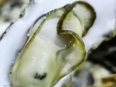 -老汉口鲜牛肉煎饺·牛杂萝卜汤(万松园店)