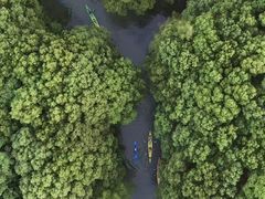 -动邦皮划艇·桨板·独木舟·团建户外运动俱乐部