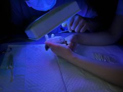 -严国平动物医院(德政总院)