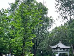 -白水寺森林公园