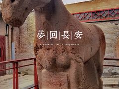 -西安碑林博物馆