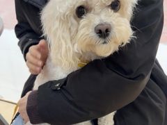 -瑞康宠物医院·犬猫牙科·异宠专科·转诊诊疗中心(劳卫路店)