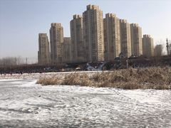-前关湿地公园