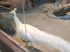 -苏州海洋馆