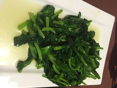 渝信川菜(工体店)-渝信川菜(工体店)