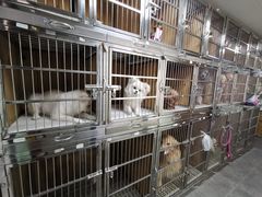 -贝贝宠物乐园(常青花园店)