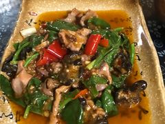 -青城甲(青城山店)