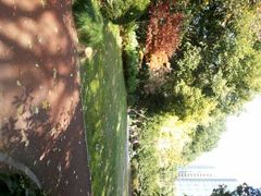 android_upload_pic-徐家汇源景区-衡山公园