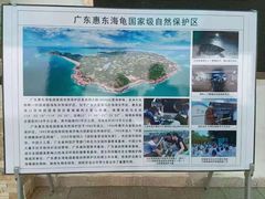 -广东惠东海龟国家级自然保护区